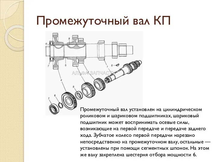 Промежуточный вал КП Промежуточный вал установлен на цилиндрическом роликовом и шариковом