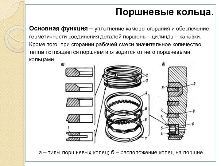 Поршневые кольца. Основная функция – уплотнение камеры сгорания и обеспечение герметичности