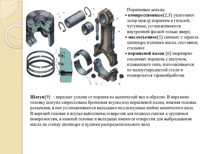 Поршневые кольца: компрессионные(2,3) уплотняют зазор между поршнем и гильзой, чугунные, устанавливаются