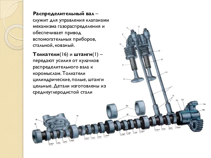 Распределительный вал – служит для управления клапанами механизма газораспределения и обеспечивает