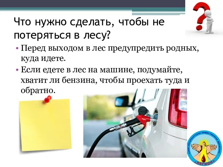 Что нужно сделать, чтобы не потеряться в лесу? Перед выходом в