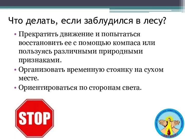 Что делать, если заблудился в лесу? Прекратить движение и попытаться восстановить