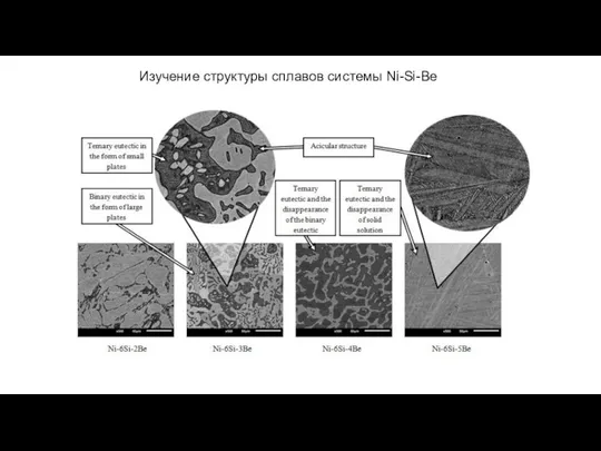 Изучение структуры сплавов системы Ni-Si-Be