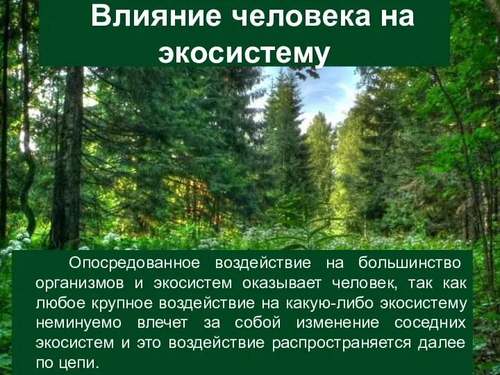 Опосредованное воздействие на большинство организмов и экосистем оказывает человек, так как