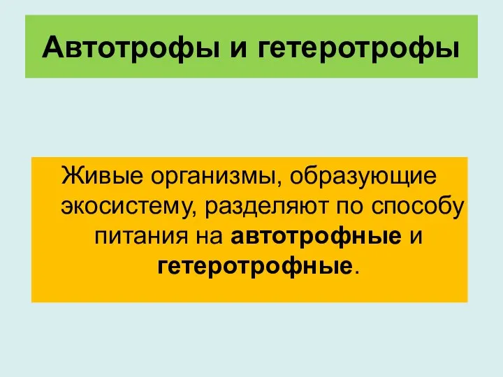 Автотрофы и гетеротрофы Живые организмы, образующие экосистему, разделяют по способу питания на автотрофные и гетеротрофные.