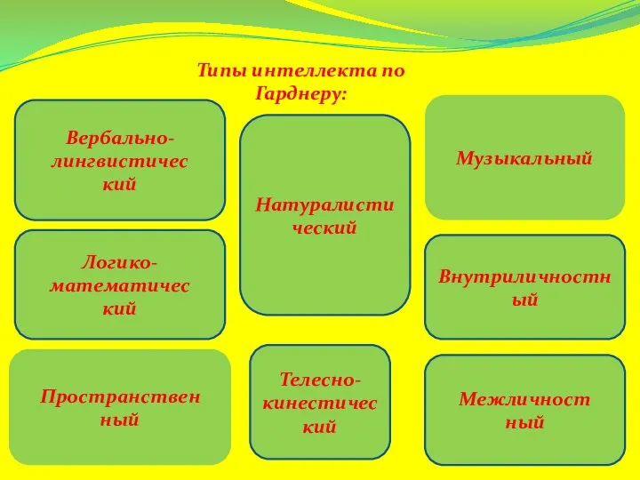 Вербально-лингвистичес кий Логико-математичес кий Пространствен ный Музыкальный Внутриличностный Телесно-кинестический Межличност ный Типы интеллекта по Гарднеру: Натуралистический