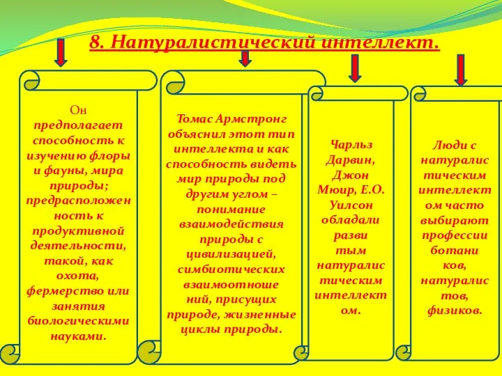 8. Натуралистический интеллект. Он предполагает способность к изучению флоры и фауны,