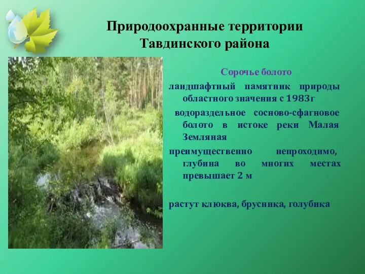 Природоохранные территории Тавдинского района Сорочье болото ландшафтный памятник природы областного значения