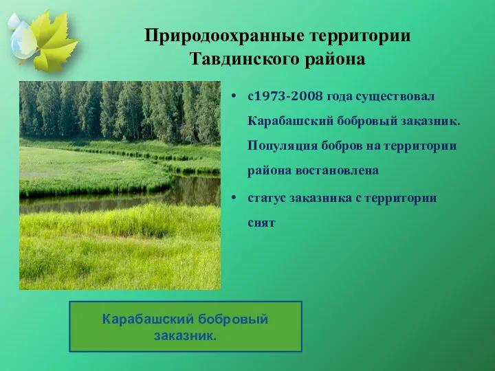 Природоохранные территории Тавдинского района с1973-2008 года существовал Карабашский бобровый заказник. Популяция