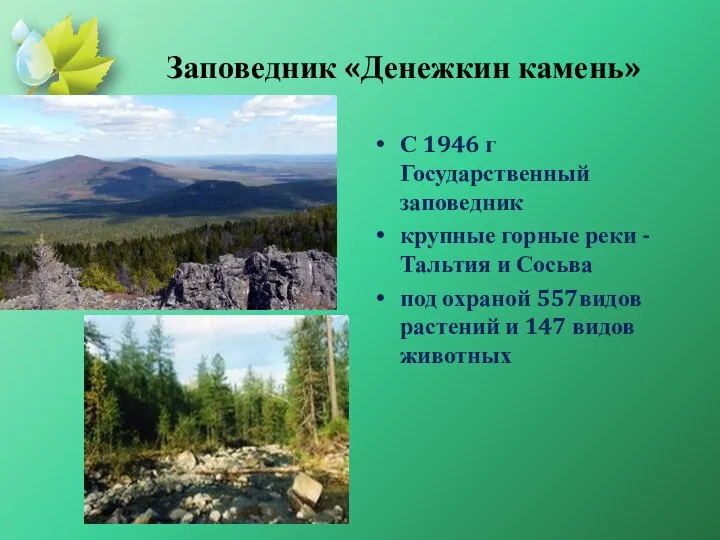 Заповедник «Денежкин камень» С 1946 г Государственный заповедник крупные горные реки