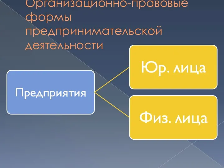 Организационно-правовые формы предпринимательской деятельности