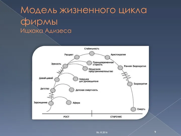 Модель жизненного цикла фирмы Ицхака Адизеса 06.10.2016