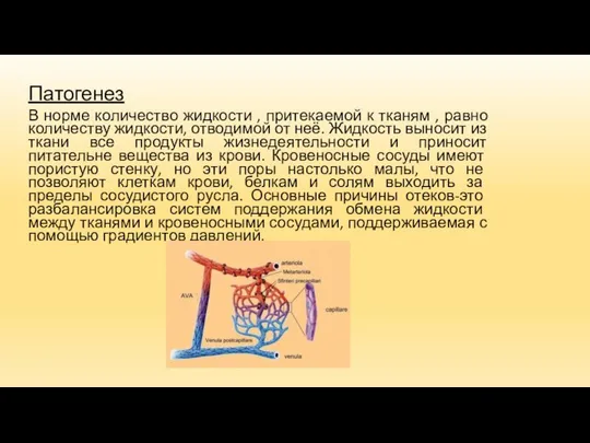 Патогенез В норме количество жидкости , притекаемой к тканям , равно