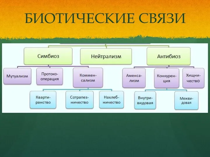 БИОТИЧЕСКИЕ СВЯЗИ