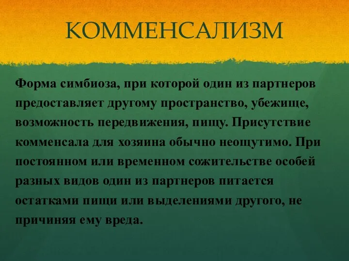 КОММЕНСАЛИЗМ Форма симбиоза, при которой один из партнеров предоставляет другому пространство,