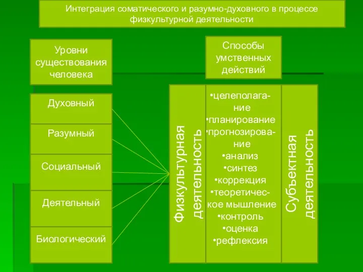 Уровни существования человека Духовный Разумный Социальный Деятельный Биологический Субъектная деятельность Способы