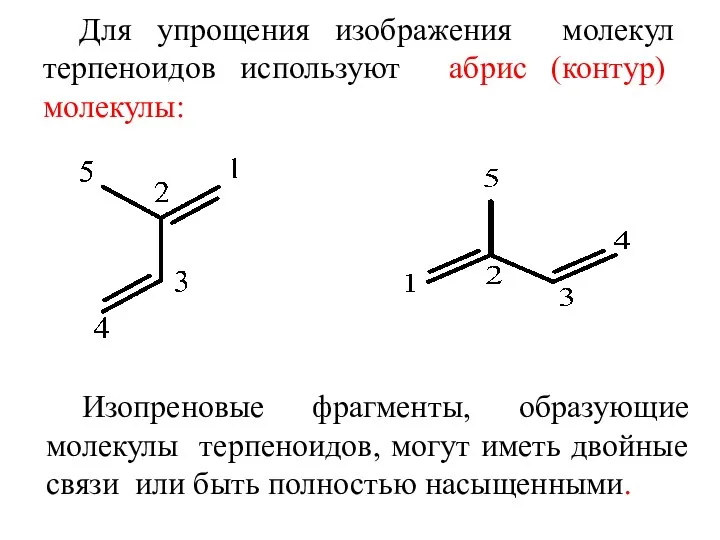 Для упрощения изображения молекул терпеноидов используют абрис (контур) молекулы: Изопреновые фрагменты,