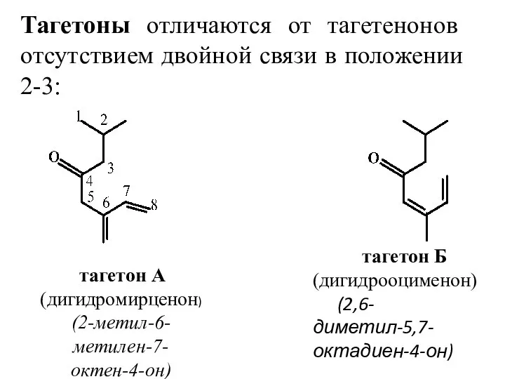 Тагетоны отличаются от тагетенонов отсутствием двойной связи в положении 2-3: тагетон