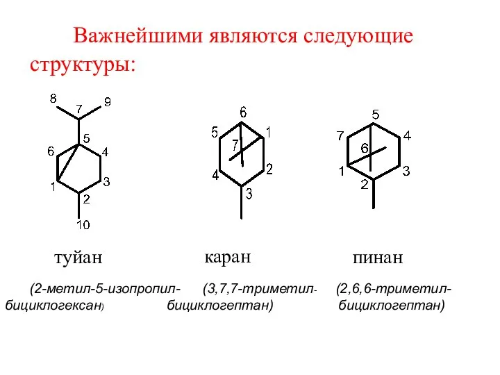 Важнейшими являются следующие структуры: туйан (2-метил-5-изопропил- (3,7,7-триметил- (2,6,6-триметил- бициклогексан) бициклогептан) бициклогептан) каран пинан