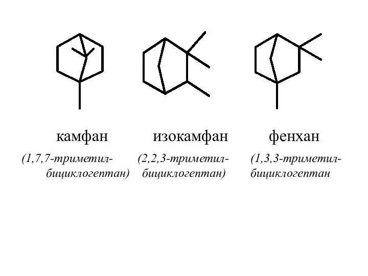 камфан изокамфан фенхан (1,7,7-триметил- (2,2,3-триметил- (1,3,3-триметил- бициклогептан) бициклогептан) бициклогептан