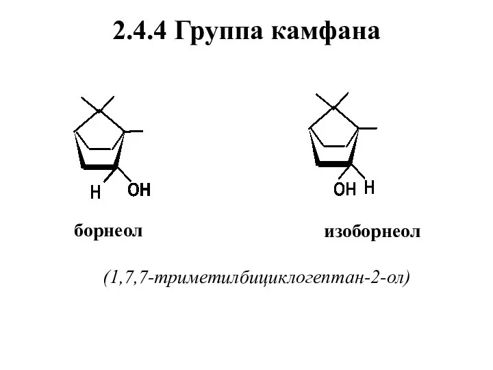 2.4.4 Группа камфана борнеол изоборнеол (1,7,7-триметилбициклогептан-2-ол)