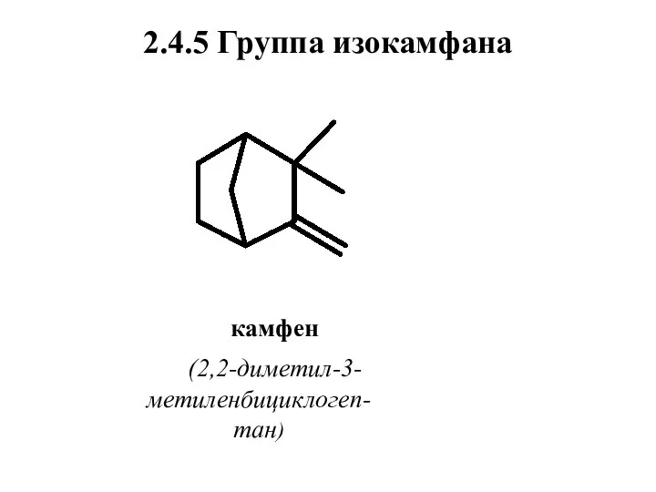 2.4.5 Группа изокамфана камфен (2,2-диметил-3-метиленбициклогеп-тан)