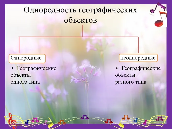 Однородность географических объектов Географические объекты одного типа Географические объекты разного типа