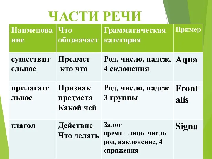 ЧАСТИ РЕЧИ