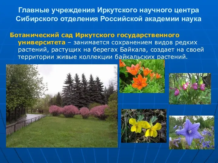 Главные учреждения Иркутского научного центра Сибирского отделения Российской академии наука Ботанический