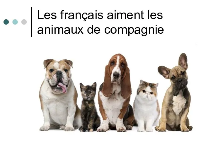 Les français aiment les animaux de compagnie