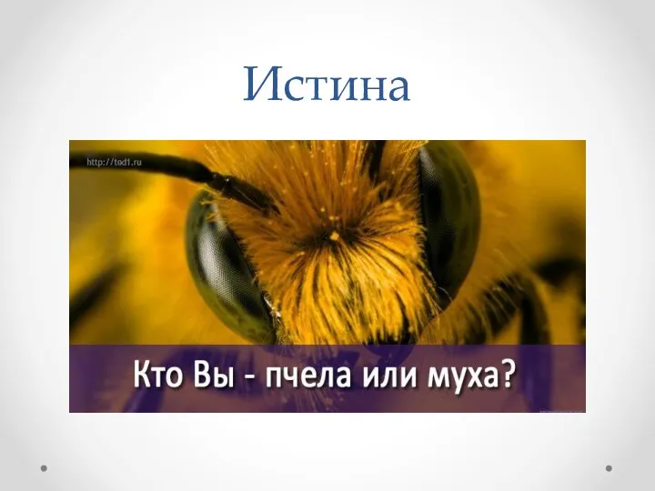 Истина