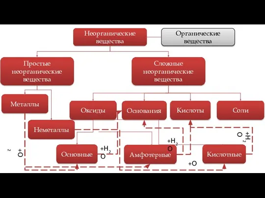 Сложные неорганические вещества Оксиды Основания Кислоты Соли Основные Амфотерные Кислотные Простые