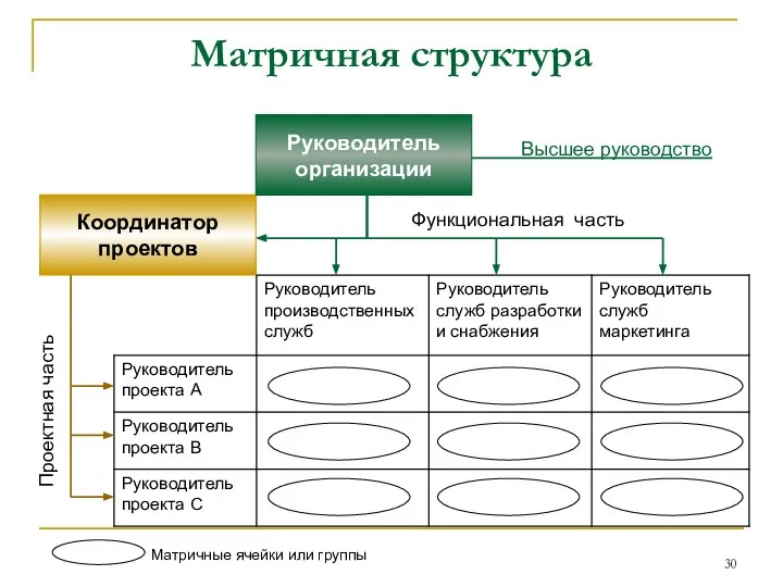 Матричная структура Координатор проектов Руководитель организации Проектная часть Высшее руководство Функциональная часть Матричные ячейки или группы