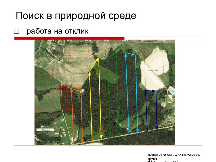 Поиск в природной среде работа на отклик подготовка старших поисковых групп ПСО Liza Alert 2015