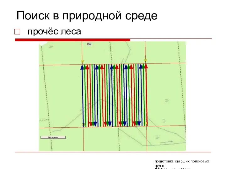 Поиск в природной среде прочёс леса подготовка старших поисковых групп ПСО Liza Alert 2015