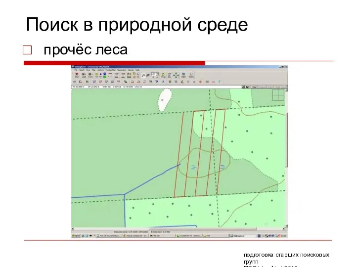 Поиск в природной среде прочёс леса подготовка старших поисковых групп ПСО Liza Alert 2015