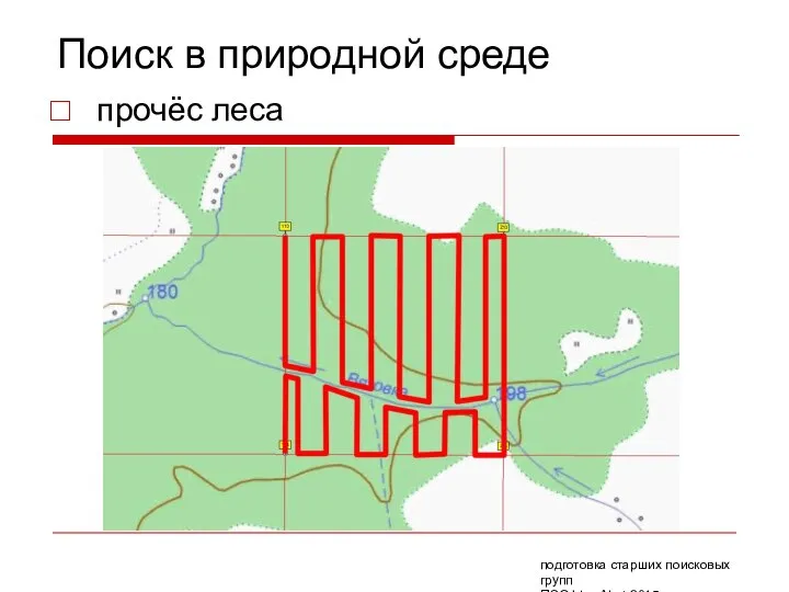 Поиск в природной среде прочёс леса подготовка старших поисковых групп ПСО Liza Alert 2015