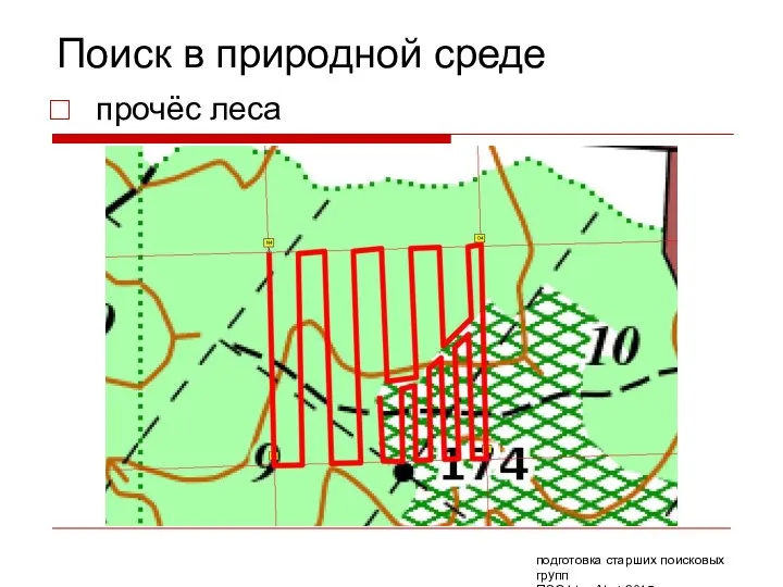 Поиск в природной среде прочёс леса подготовка старших поисковых групп ПСО Liza Alert 2015