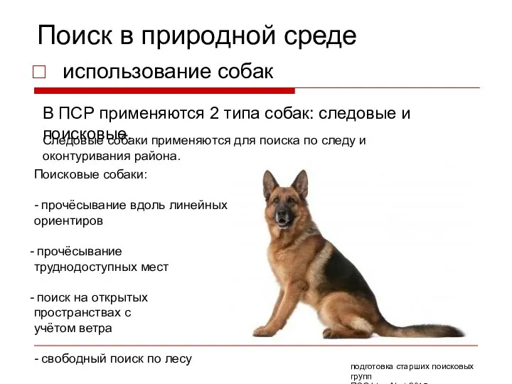 Поиск в природной среде использование собак подготовка старших поисковых групп ПСО