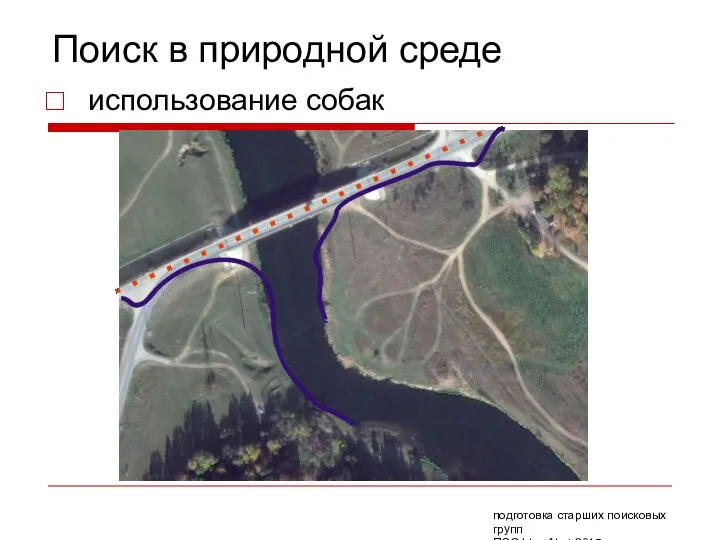 Поиск в природной среде использование собак подготовка старших поисковых групп ПСО Liza Alert 2015