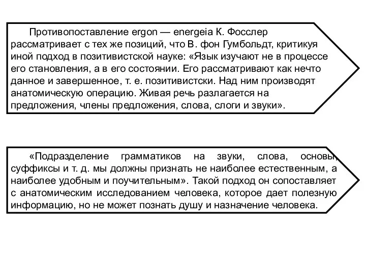 Противопоставление ergon — energeia К. Фосслер рассматривает с тех же позиций,