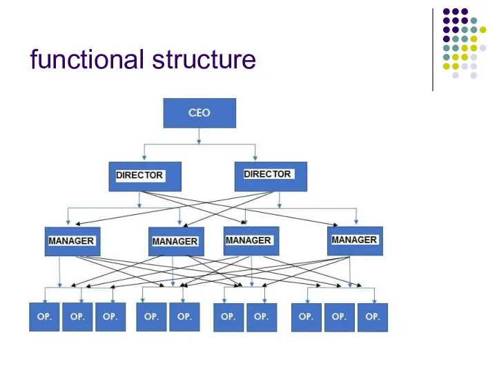 functional structure