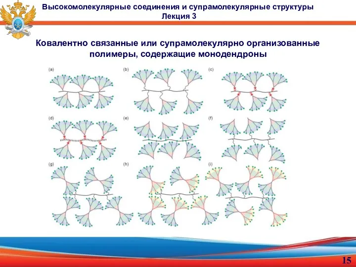 Ковалентно связанные или супрамолекулярно организованные полимеры, содержащие монодендроны Высокомолекулярные соединения и супрамолекулярные структуры Лекция 3