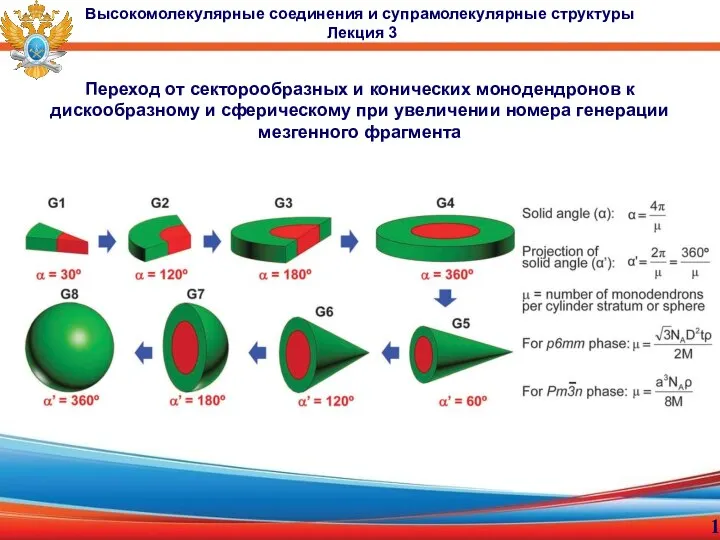 Переход от секторообразных и конических монодендронов к дискообразному и сферическому при