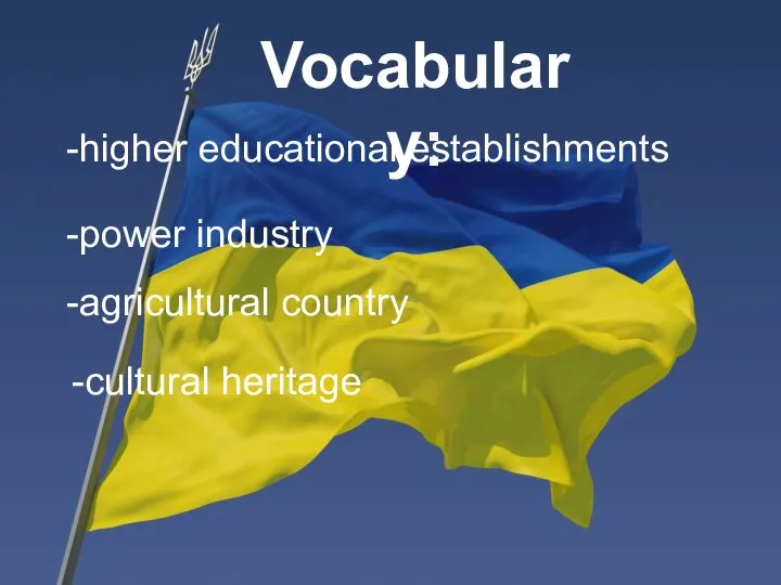 Vocabulary: -higher educational establishments -power industry -agricultural country -cultural heritage
