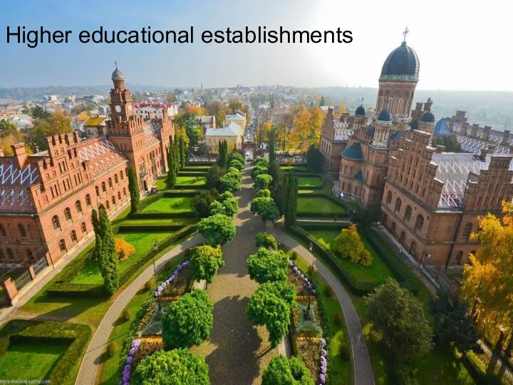 Higher educational establishments