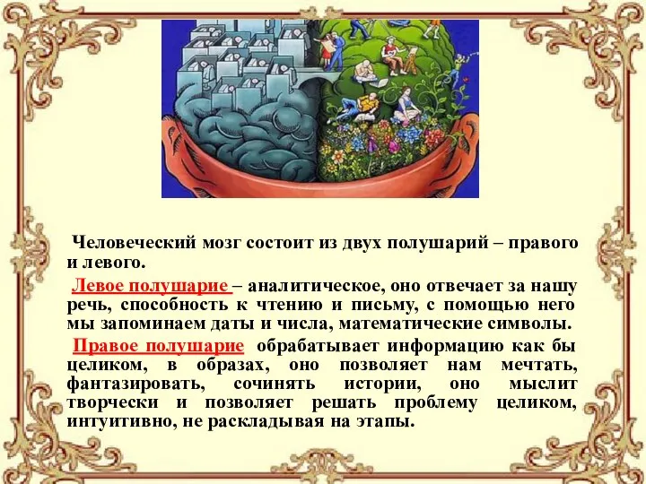 Человеческий мозг состоит из двух полушарий – правого и левого. Левое