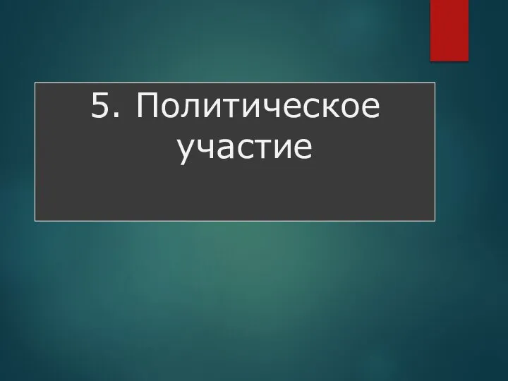 5. Политическое участие