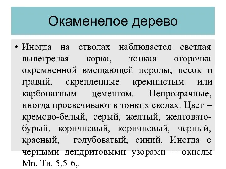 Окаменелое дерево Иногда на стволах наблюдается светлая выветрелая корка, тонкая оторочка