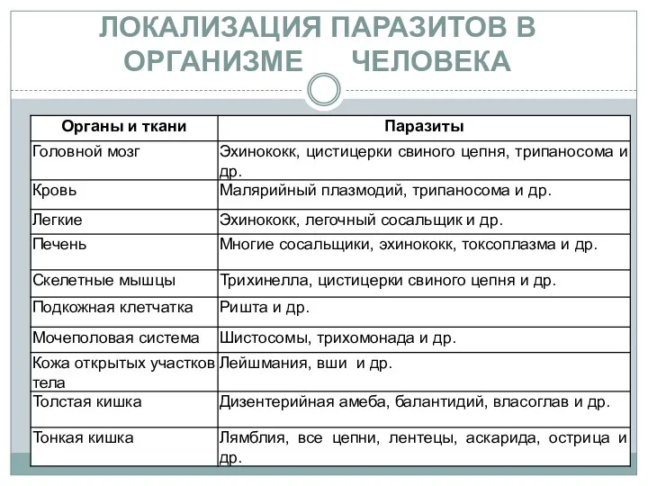 ЛОКАЛИЗАЦИЯ ПАРАЗИТОВ В ОРГАНИЗМЕ ЧЕЛОВЕКА